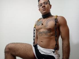 WebCAM de jay_latin