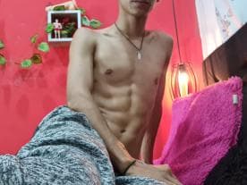 WebCAM de Leoadamss