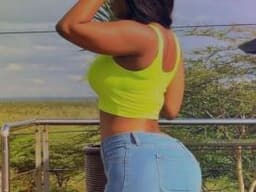 lvy_ann