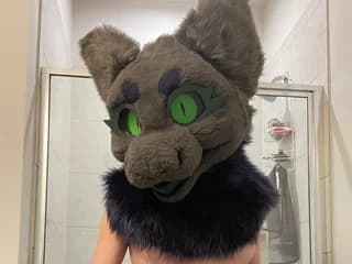WebCAM de TiedMuzzled